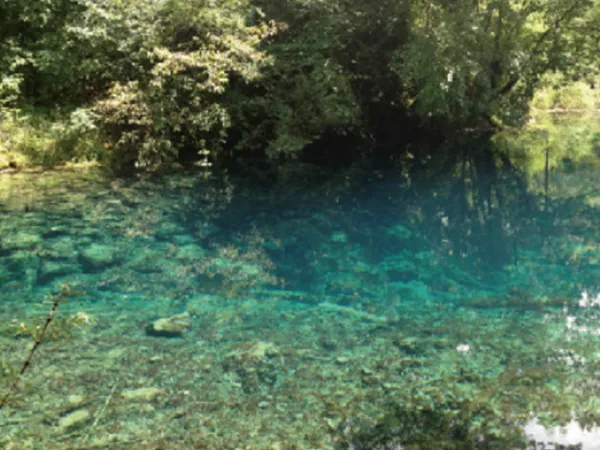 Traitement des eaux de jardin et d'aménagement paysager